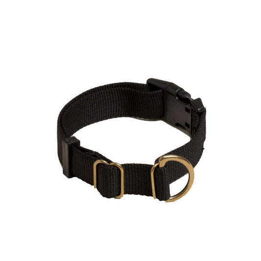 Everyday Eco-Friendly Collar in Black