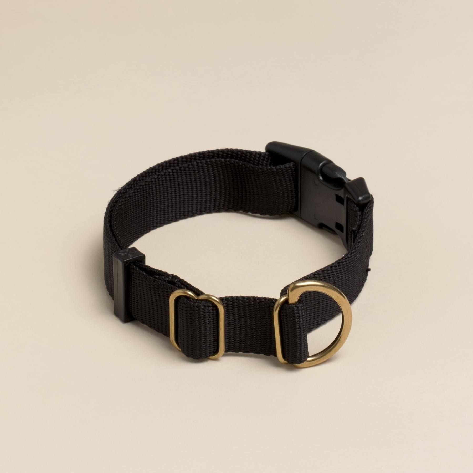 Everyday Eco Friendly Collar