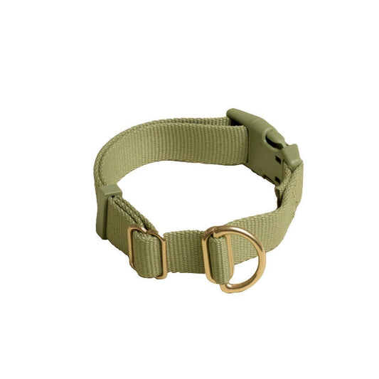 Everyday Eco-Friendly Collar in Moss Green