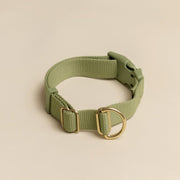Everyday Eco-Friendly Collar in Moss Green