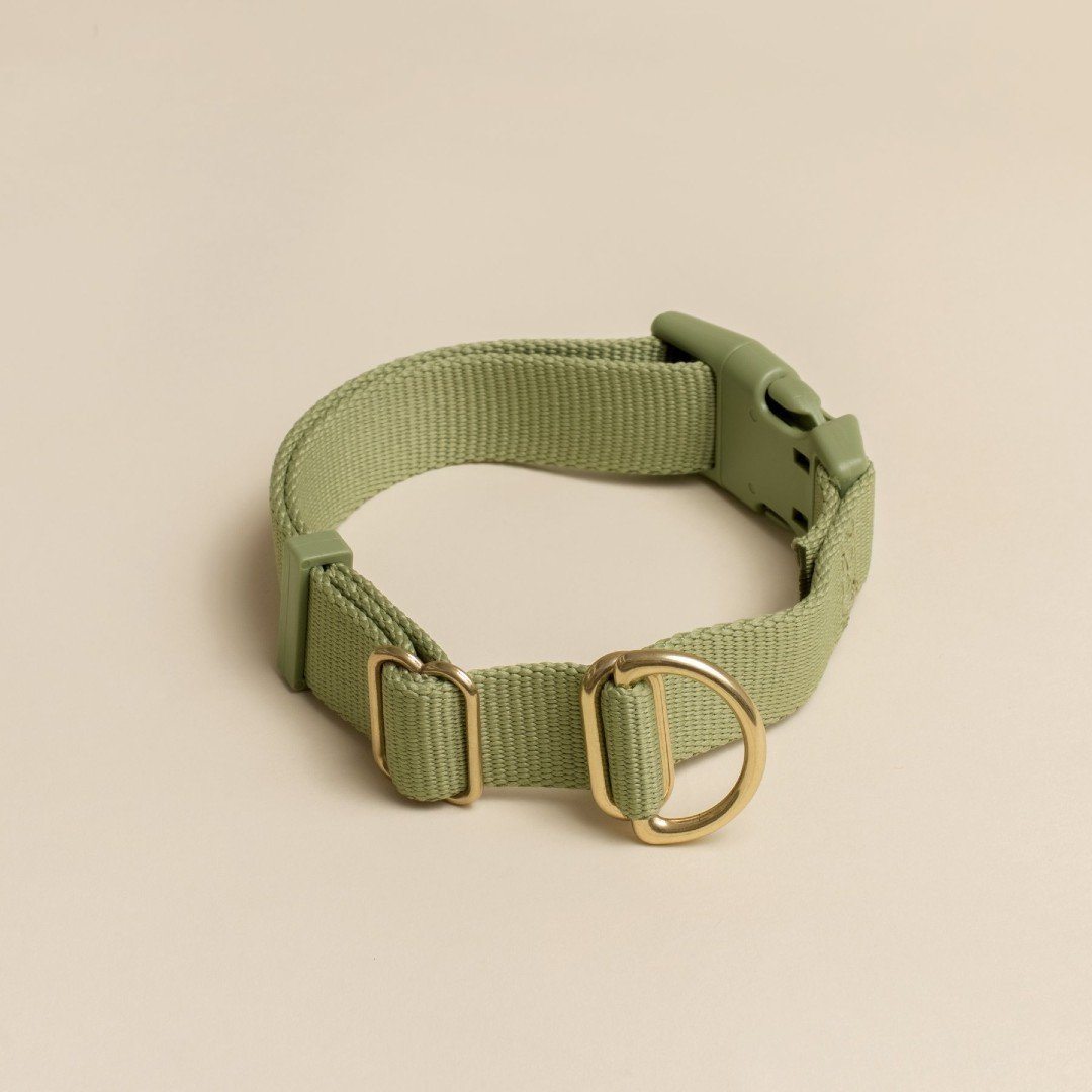 Everyday Eco-Friendly Collar in Spicy Red
