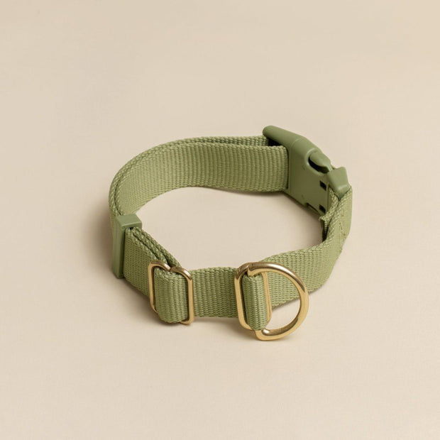 Everyday Eco-Friendly Collar in Navy Blue