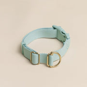 Everyday Eco-Friendly Collar in Peachy Pink