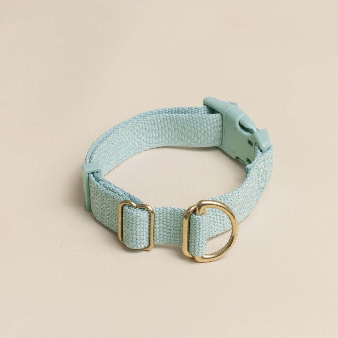 Everyday Eco-Friendly Collar in Sky Blue