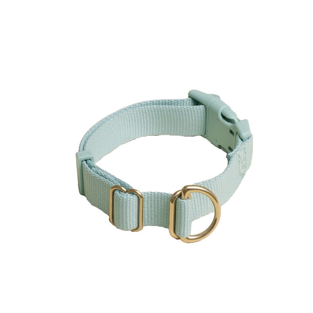 Everyday Eco-Friendly Collar in Sky Blue