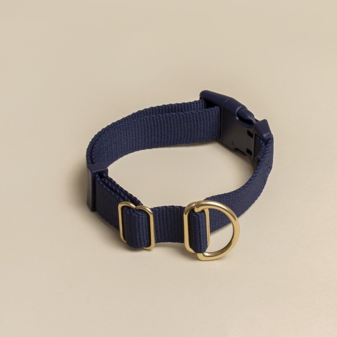 Everyday Eco-Friendly Collar in Spicy Red