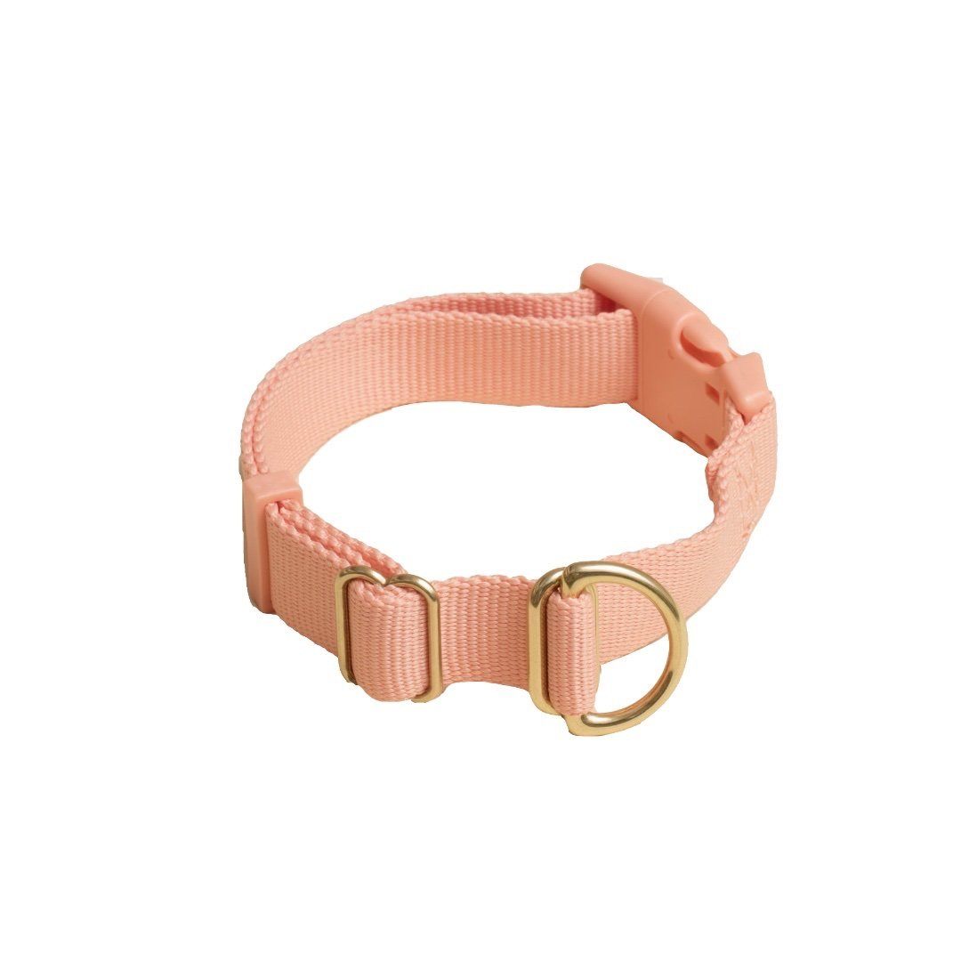 Everyday Eco-Friendly Collar in Peachy Pink