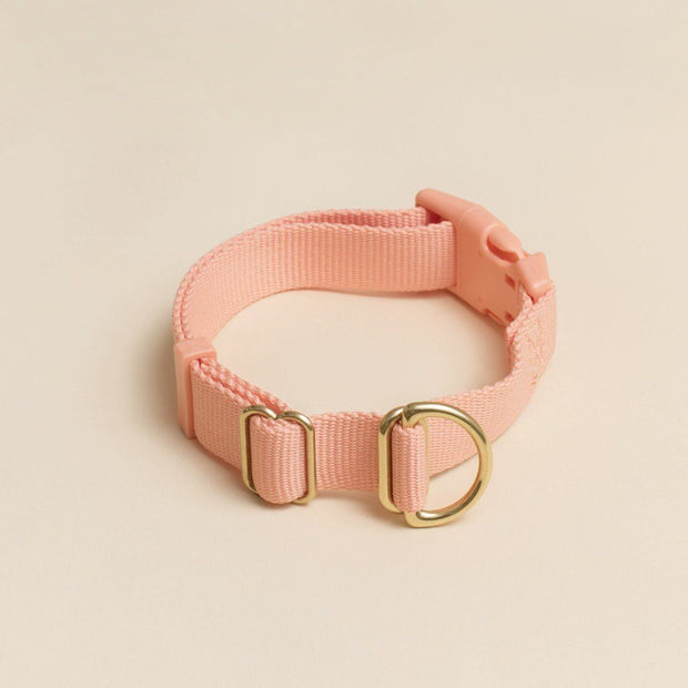 Everyday Eco-Friendly Collar in Spicy Red
