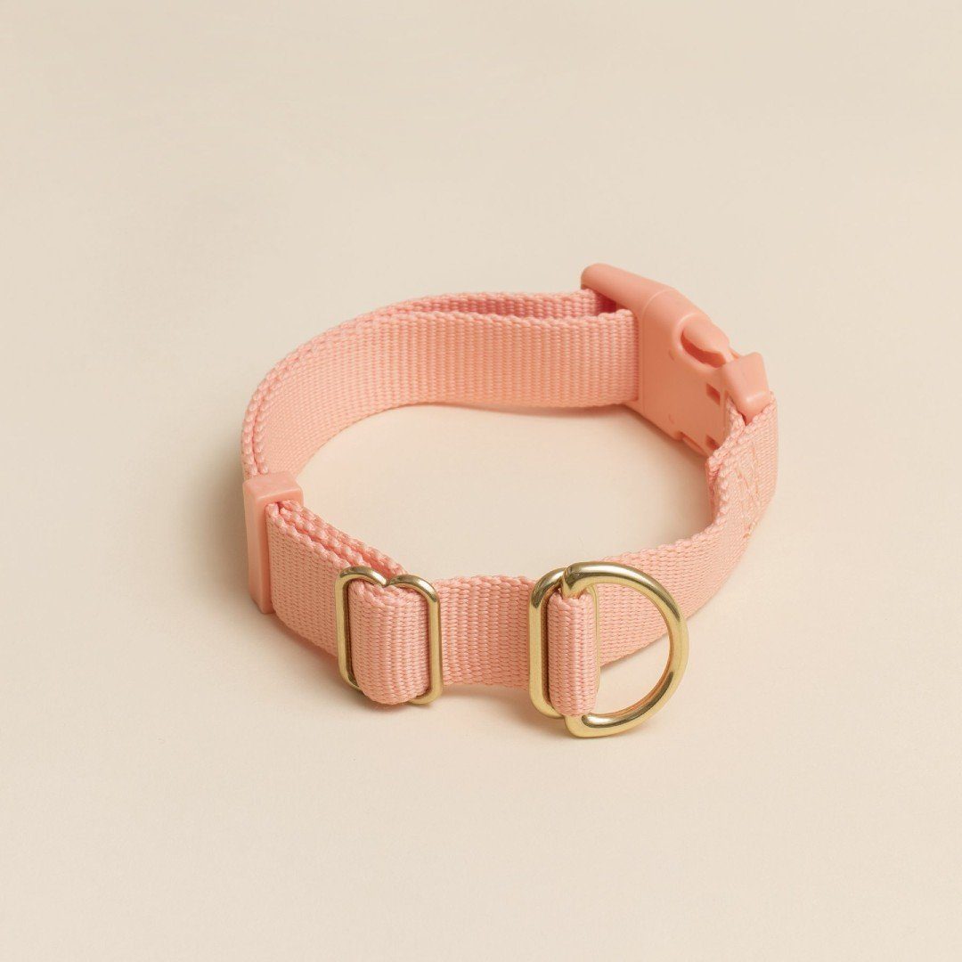 Everyday Eco Friendly Collar Peachy
