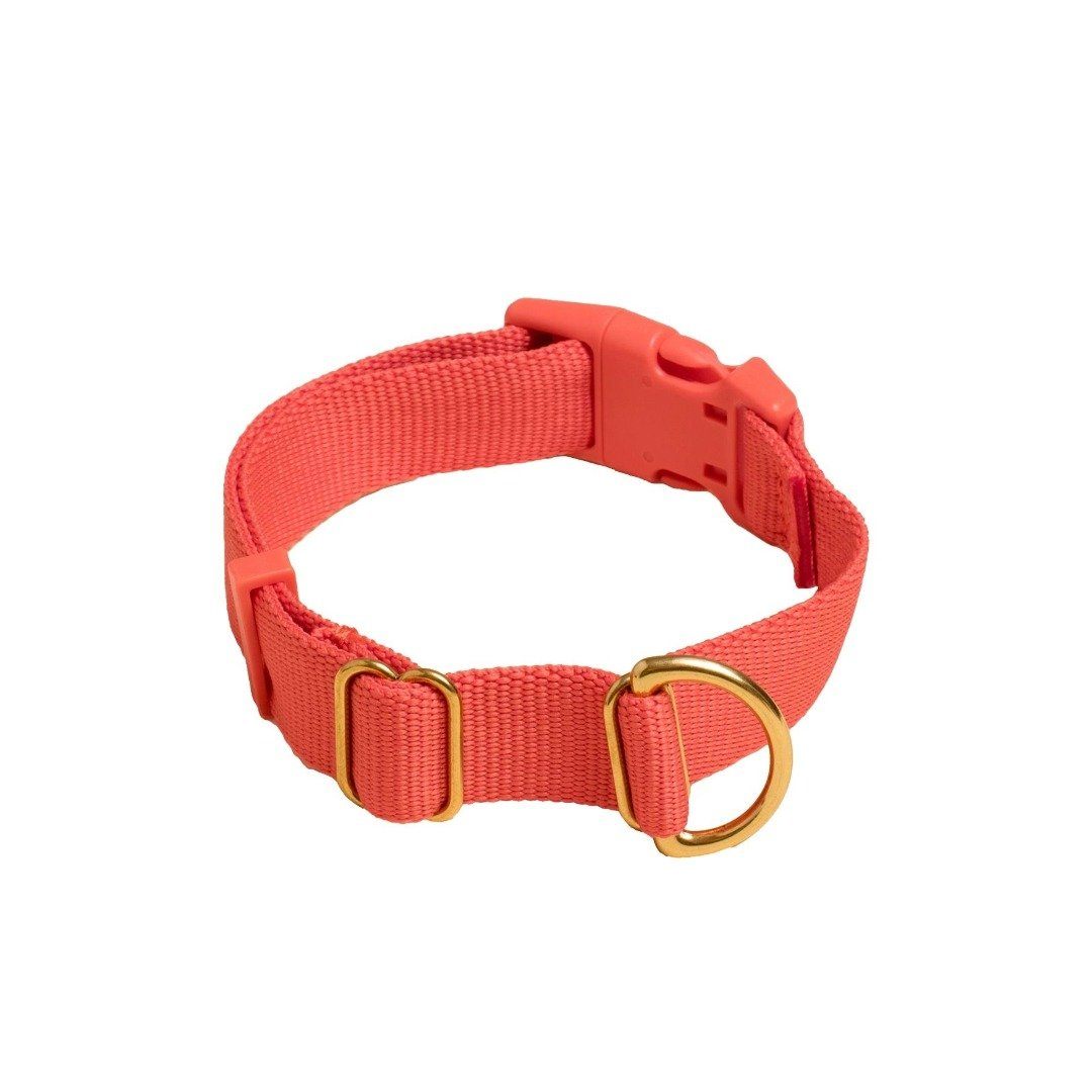 Everyday Eco-Friendly Collar in Spicy Red