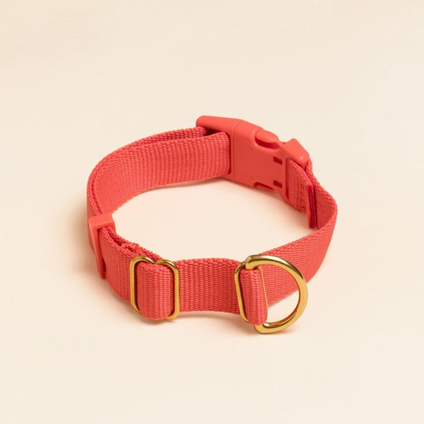 Everyday Eco-Friendly Collar in Moss Green
