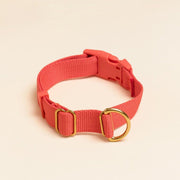 Everyday Eco-Friendly Collar in Spicy Red