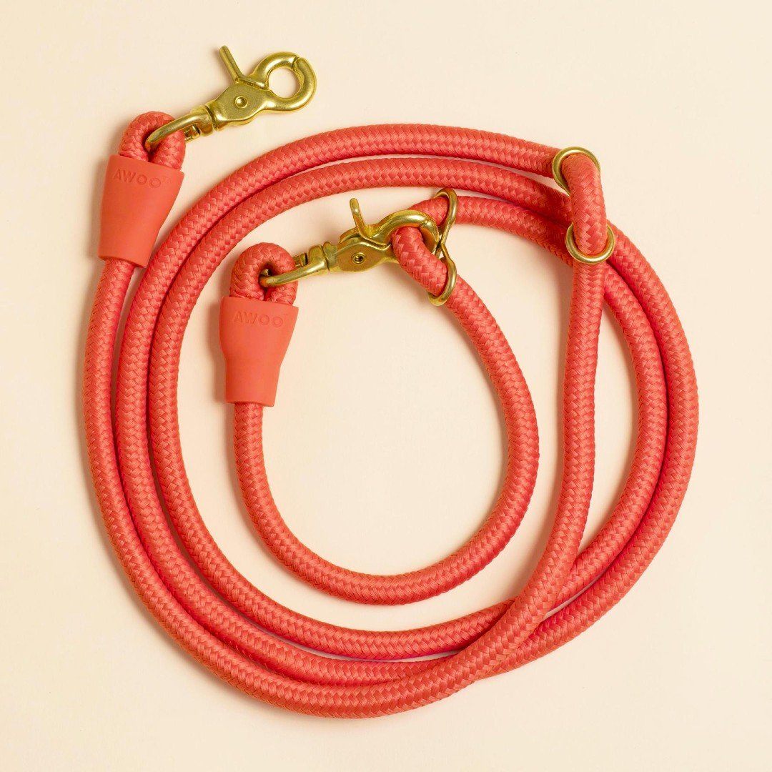 Eco-Friendly Infinity Leash in Moss Green