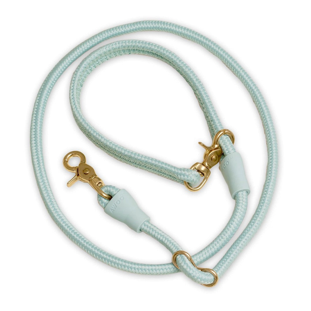 Eco Friendly Everyday Leash