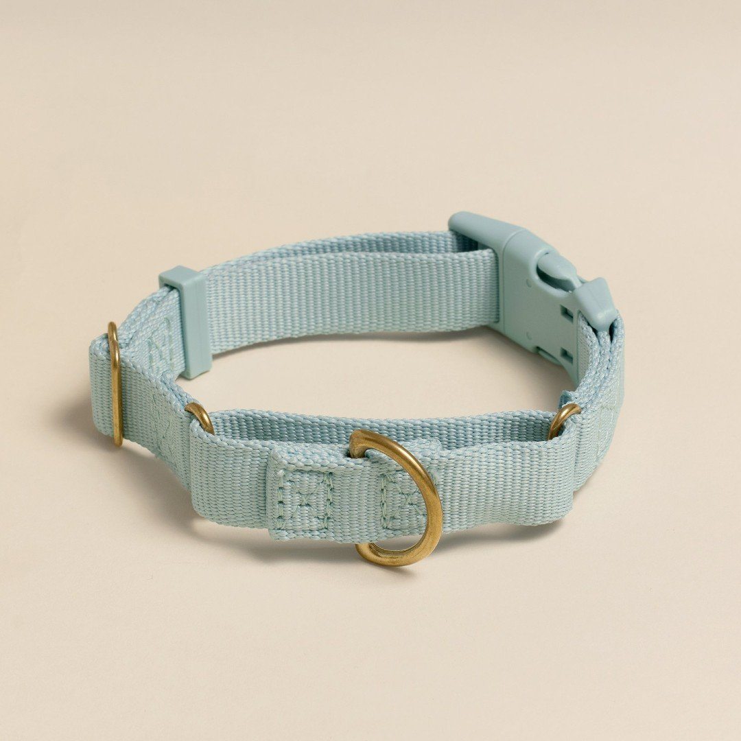 Martingale Eco Friendly Collar