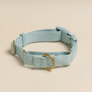 Martingale Eco-Friendly Collar in Sky Blue