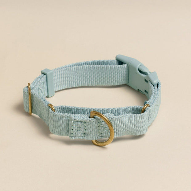 Martingale Eco-Friendly Collar in Peachy Pink