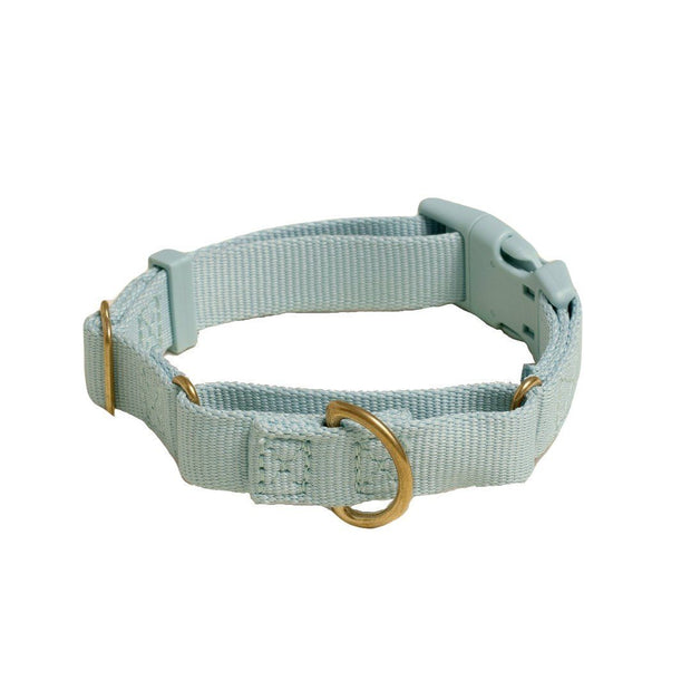 Martingale Eco-Friendly Collar in Sky Blue