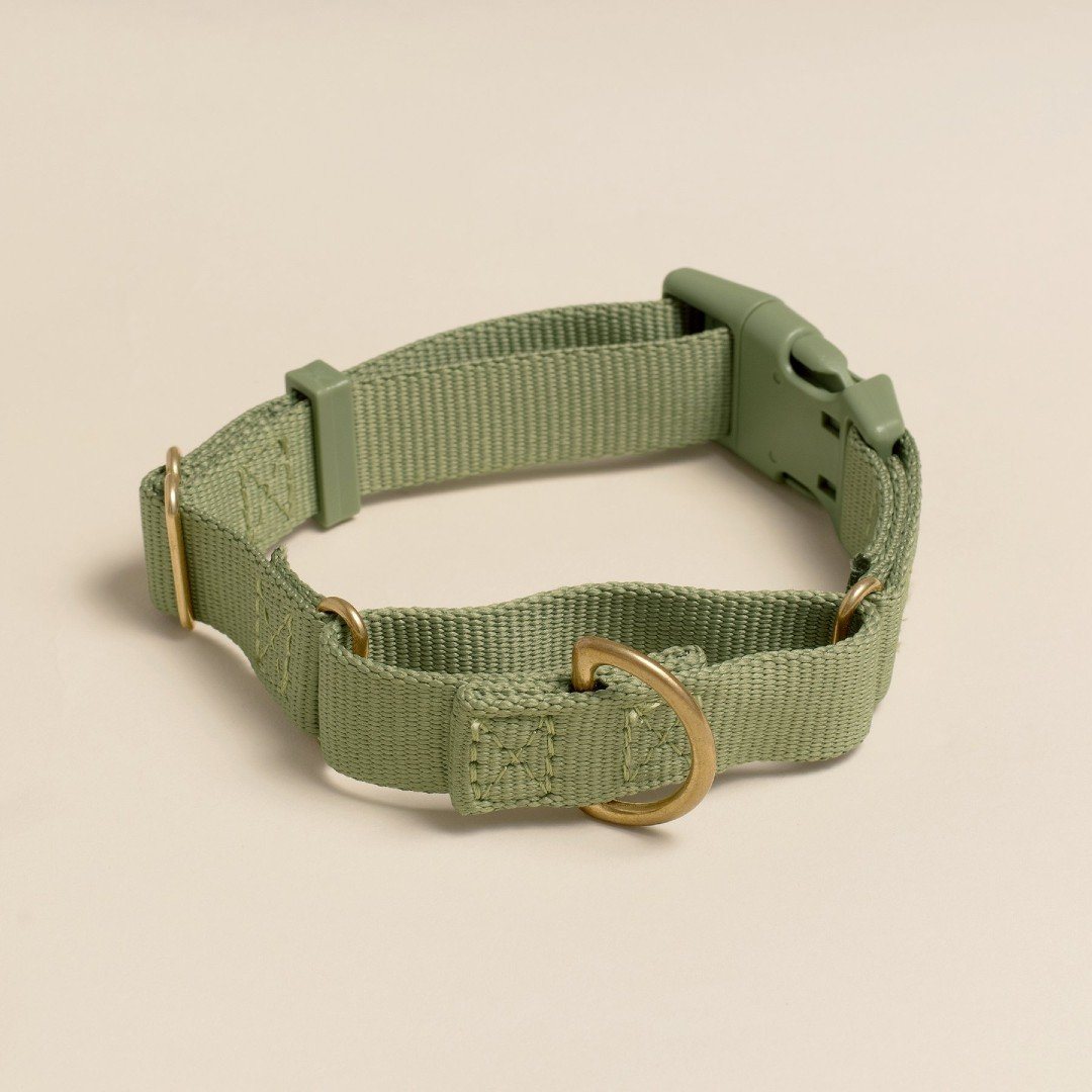Martingale Eco-Friendly Collar in Moss Green