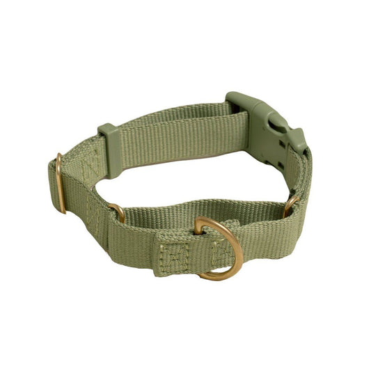 Martingale Eco-Friendly Collar in Moss Green