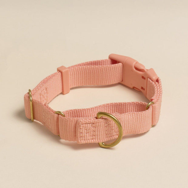 Martingale Eco-Friendly Collar in Peachy Pink