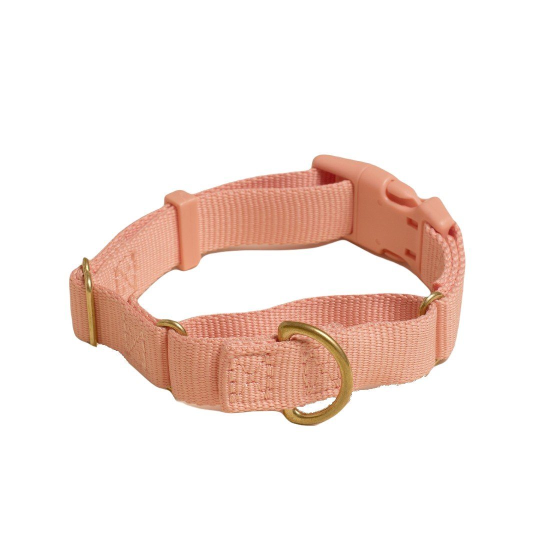 Martingale Eco-Friendly Collar in Peachy Pink