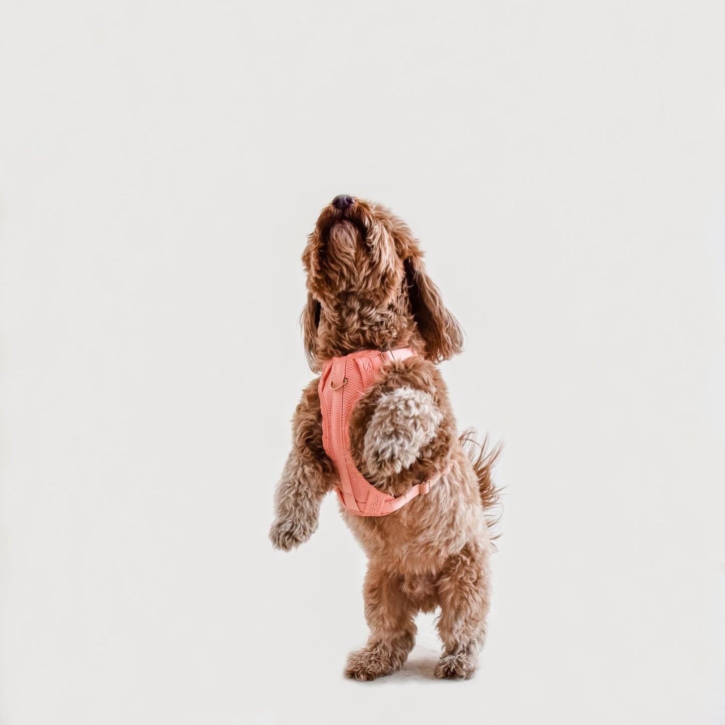 Multi-Clip Eco-Friendly Huggie Harness in Peachy Pink