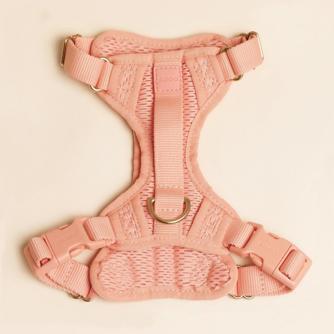 Multi-Clip Eco-Friendly Huggie Harness in Black