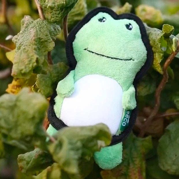 Small Eco-Friendly Frog Squeaky Toy