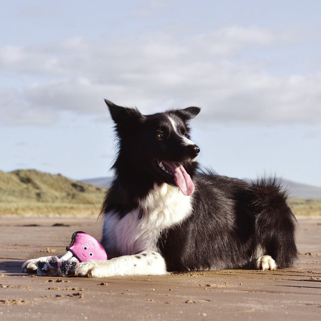 Eco-Friendly Octopus Squeaky Toy