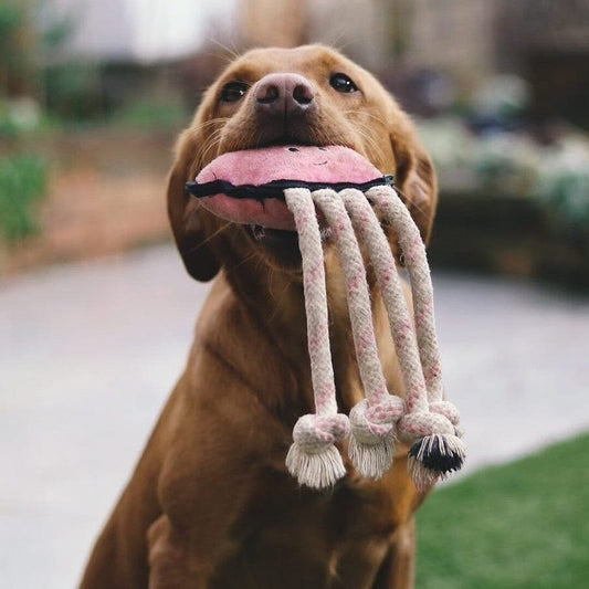 Eco-Friendly Octopus Squeaky Toy