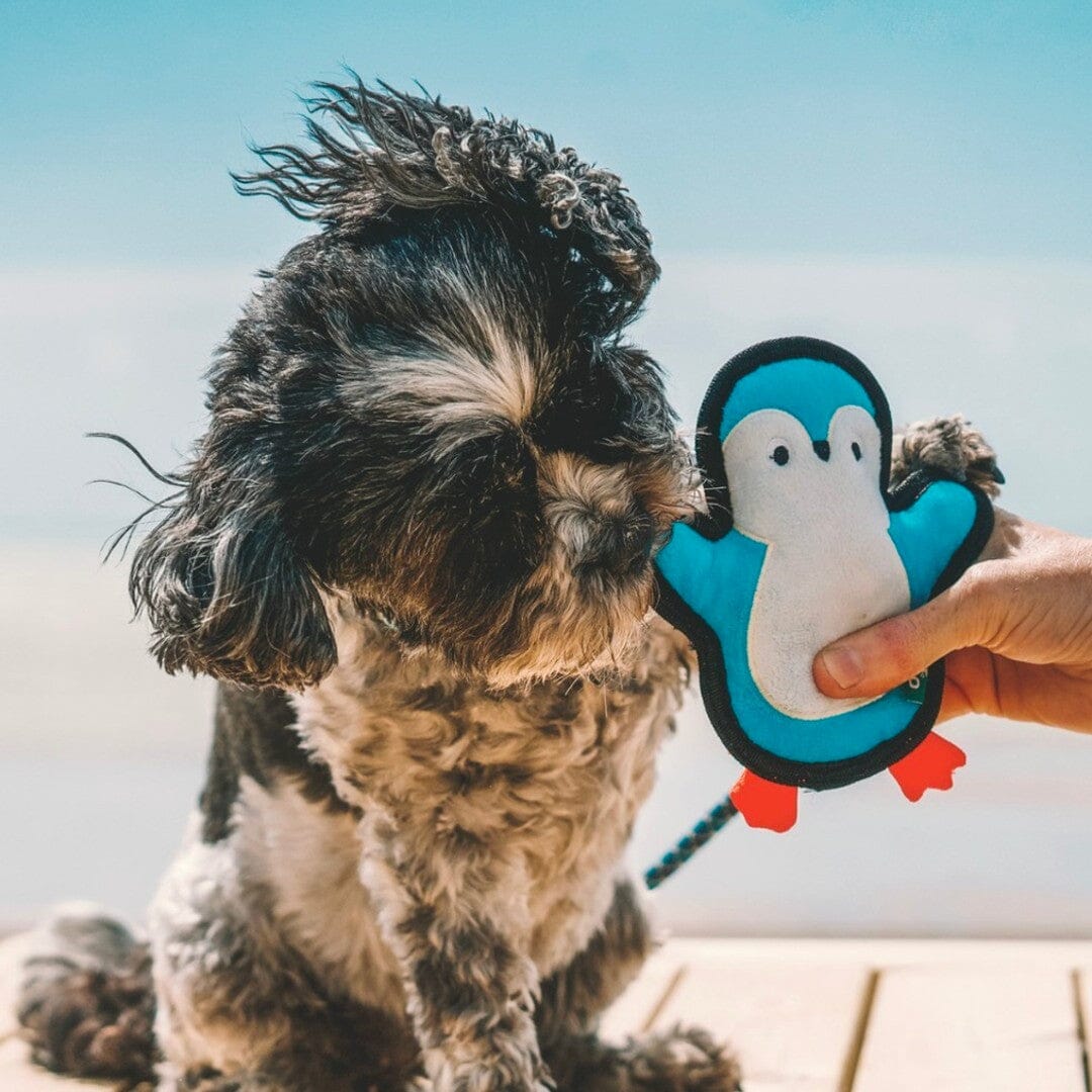 Small Eco-Friendly Penguin Squeaky Toy