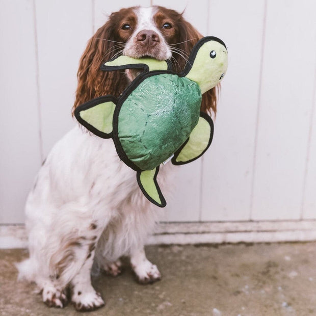 Eco-Friendly Turtle Squeaky Toy