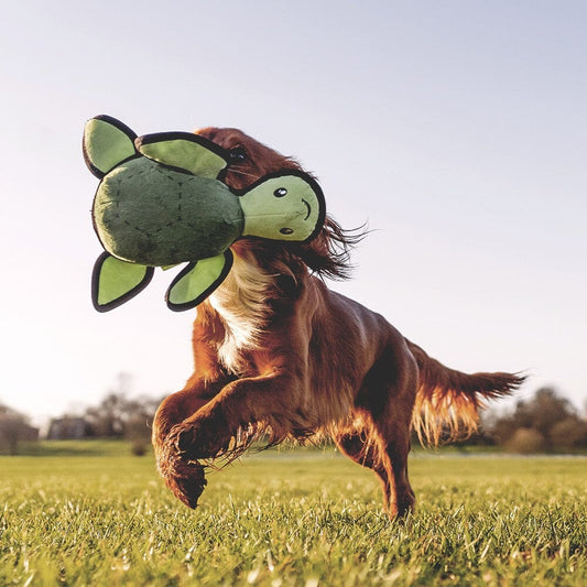 Eco-Friendly Turtle Squeaky Toy