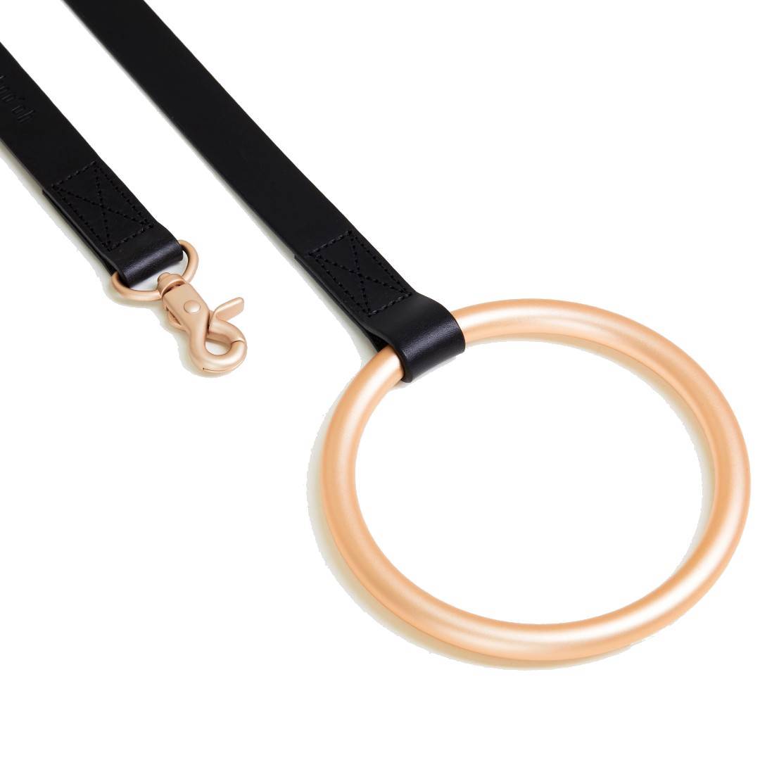 Circular Handle Leather Leash Classic Gold