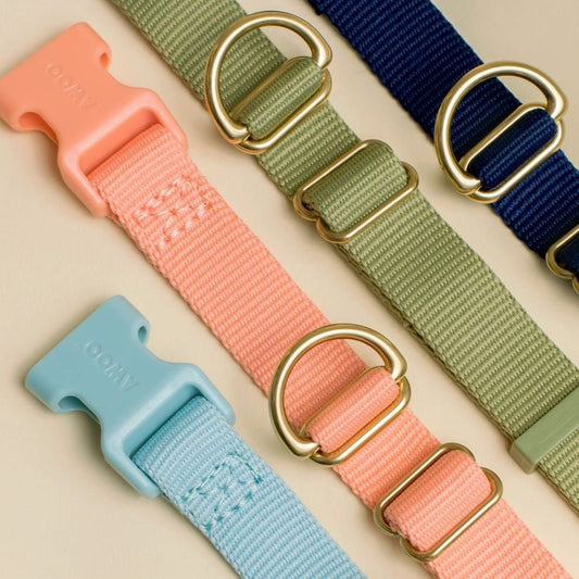Everyday Eco-Friendly Collar in Sky Blue