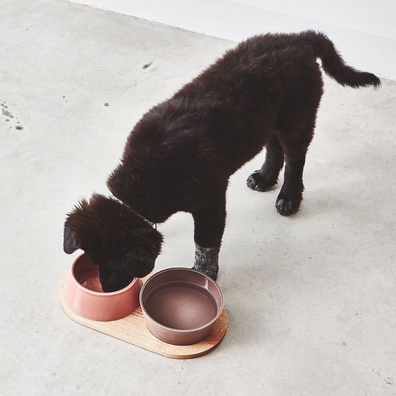 Doppio Dog Bowl Set in Concrete