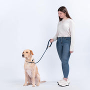 Eco-Friendly Everyday Leash in Navy Blue