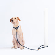 Eco-Friendly Everyday Leash in Navy Blue