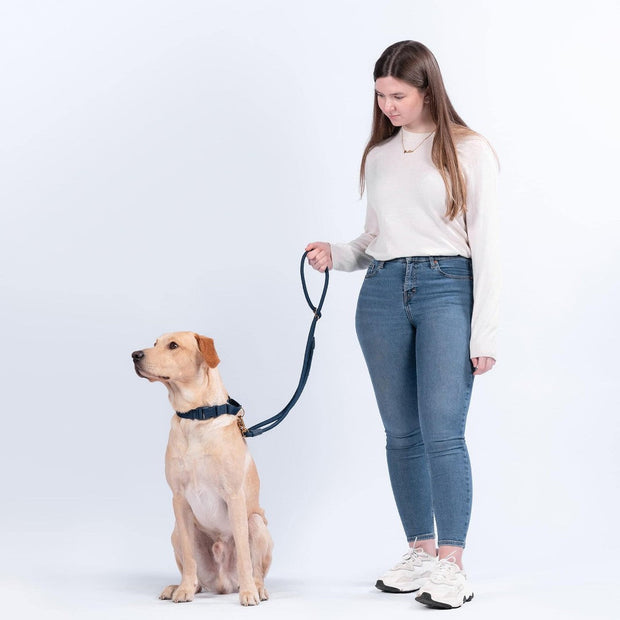 Eco-Friendly Everyday Leash in Sky Blue