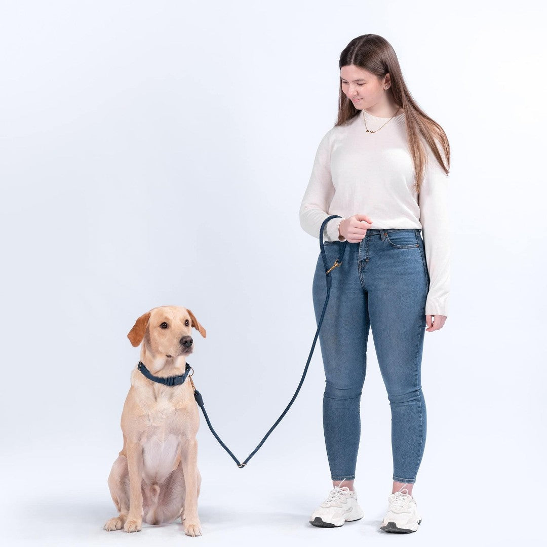 Eco-Friendly Everyday Leash in Sky Blue