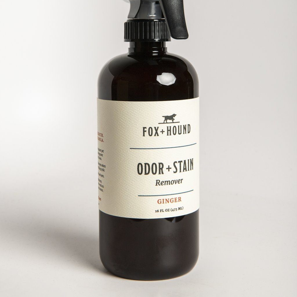 Bio-Enzymatic Dog Stain Remover in Ginger