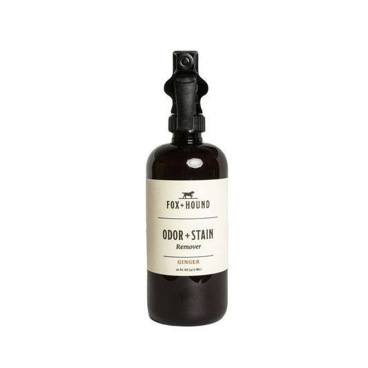 Bio-Enzymatic Dog Stain Remover in Ginger