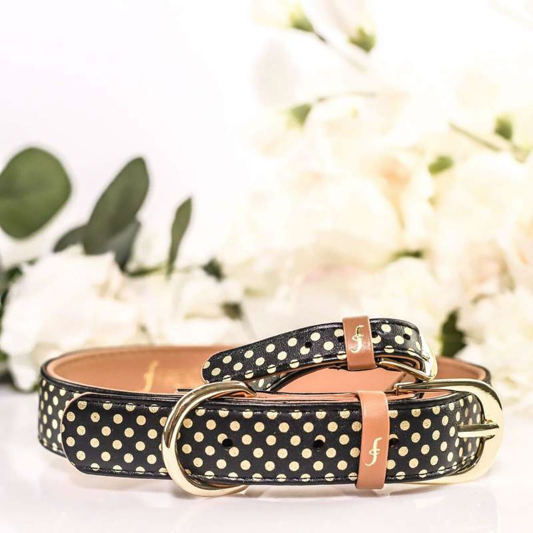 Vegan Leather Dog Collar and Matching Bracelet in Gold Polka Dots - This Dog's Life