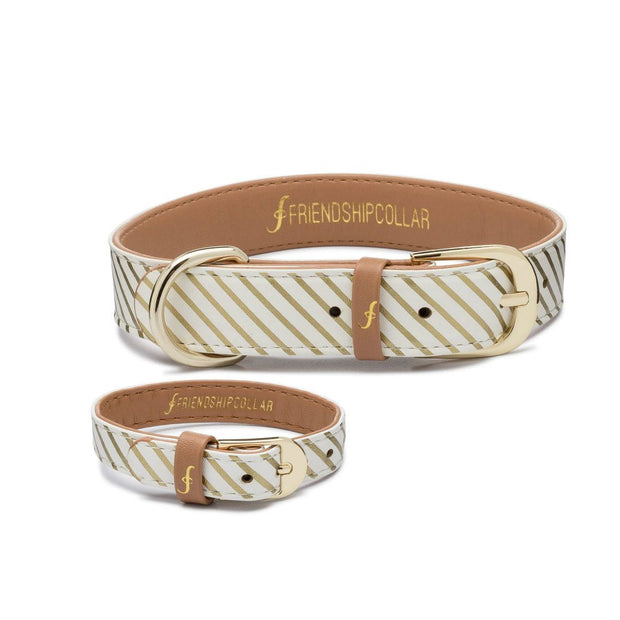 Vegan Leather Dog Collar and Matching Bracelet in Gold Stripe - This Dog's Life
