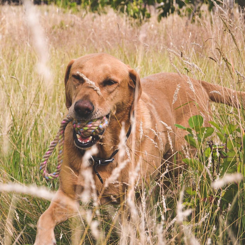 Natural Hemp Rope Ball With Loop Toy
