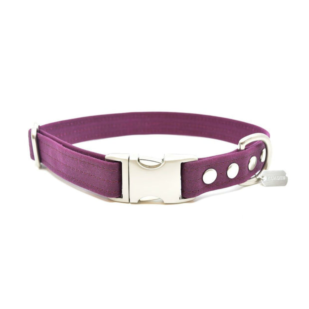 Vegan Eco-Friendly Canvas Collar in Raspberry Red - This Dog's Life