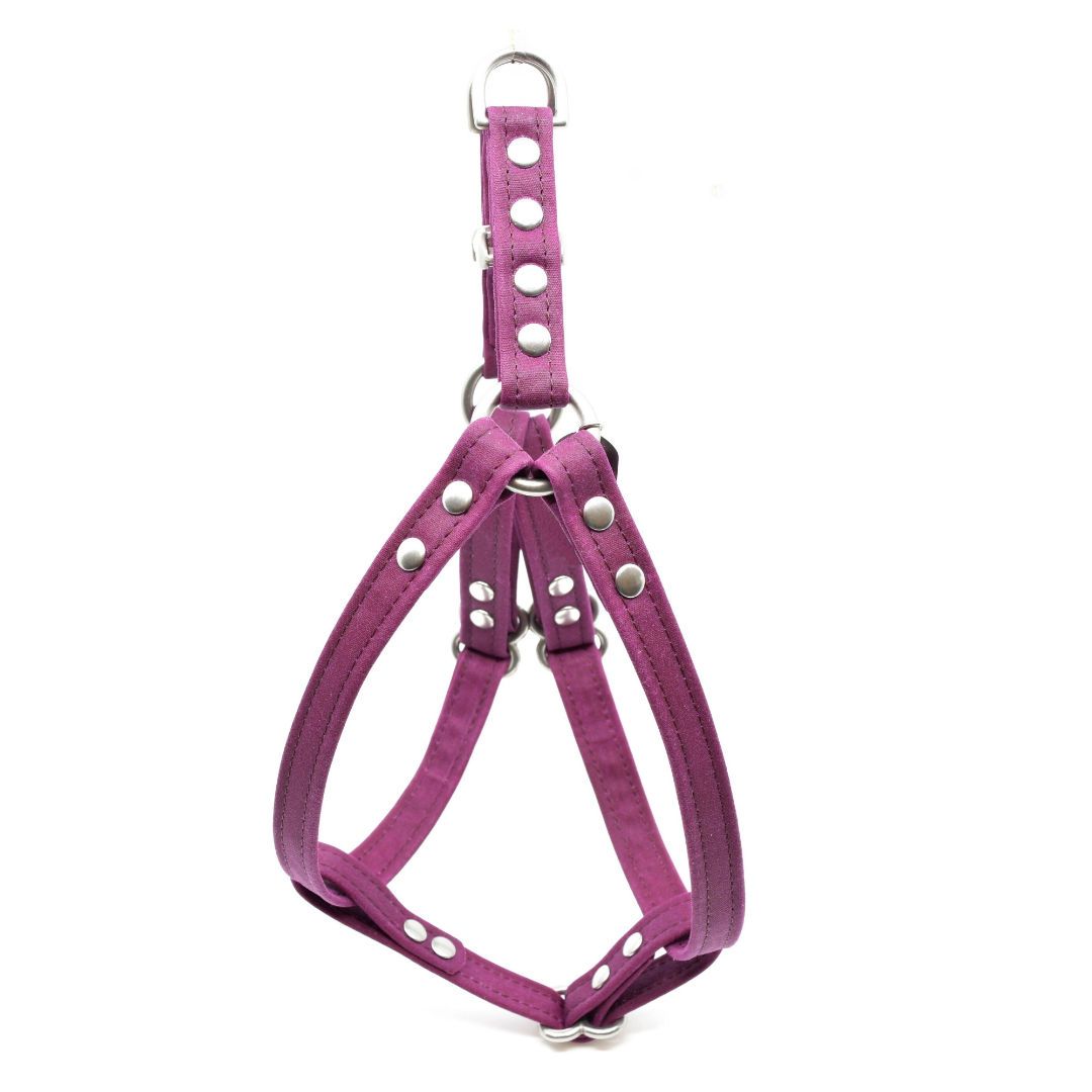 Vegan Eco-Friendly Canvas Harness in Navy Blue - This Dog's Life