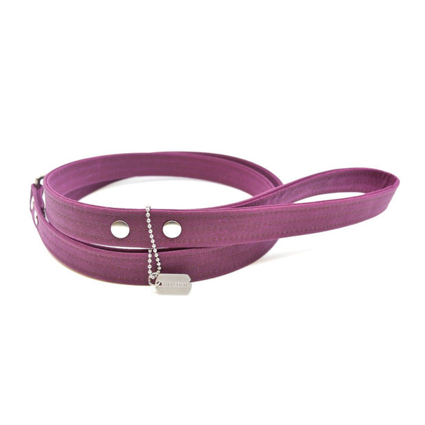 Vegan Eco-Friendly Canvas Leash in Raspberry Red - This Dog's Life