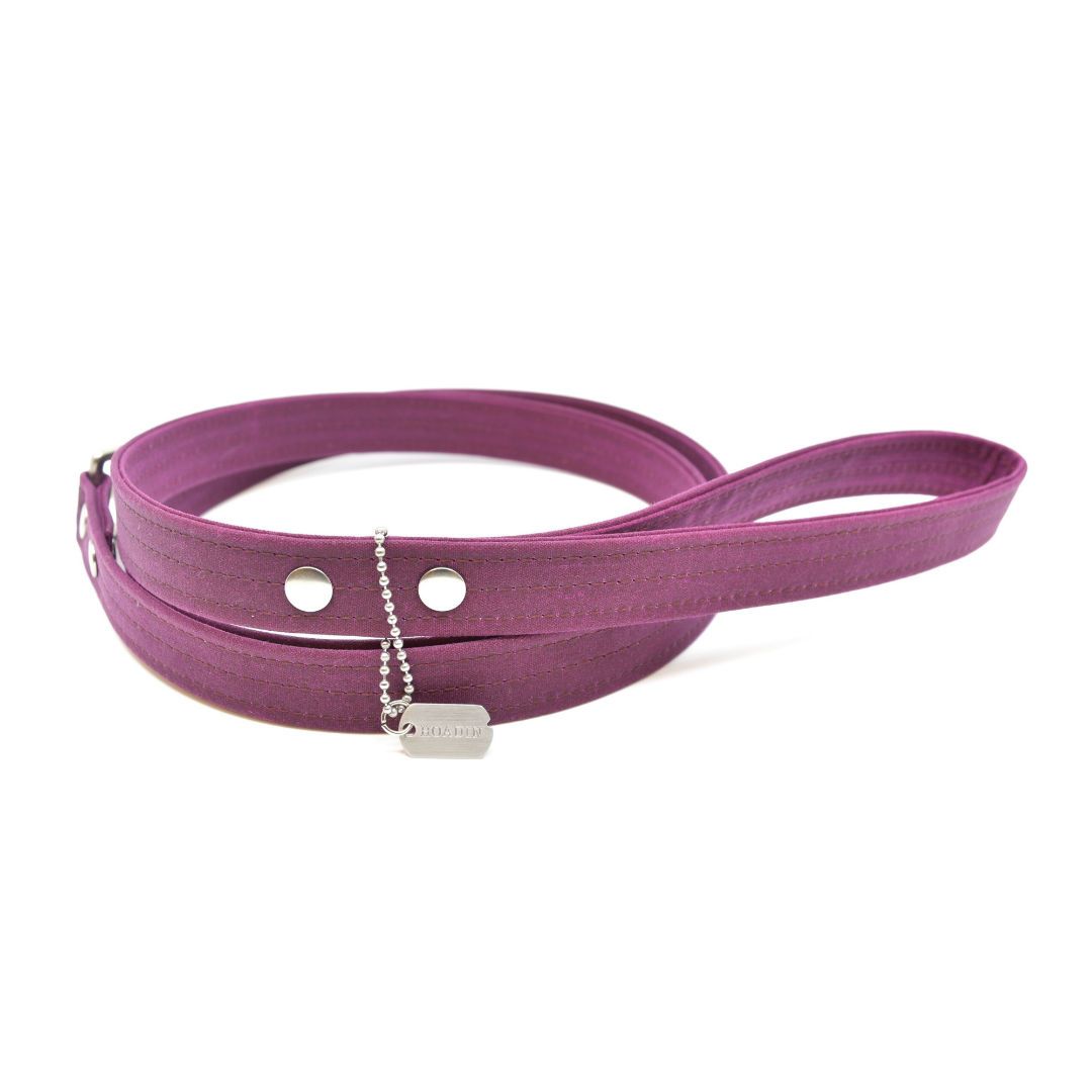 Vegan Eco-Friendly Canvas Leash in Tangerine Orange - This Dog's Life